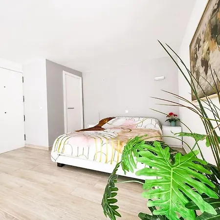 Apartment Studio In Barandas,